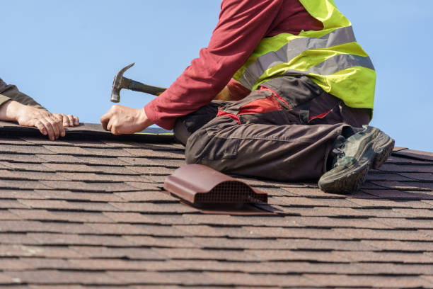 Best Roofing Contractor Near Me  in Waverly, IL