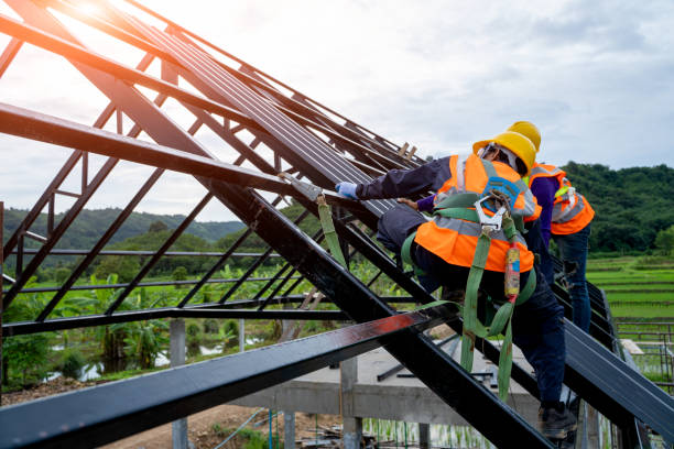 Best Roof Gutter Cleaning  in Waverly, IL