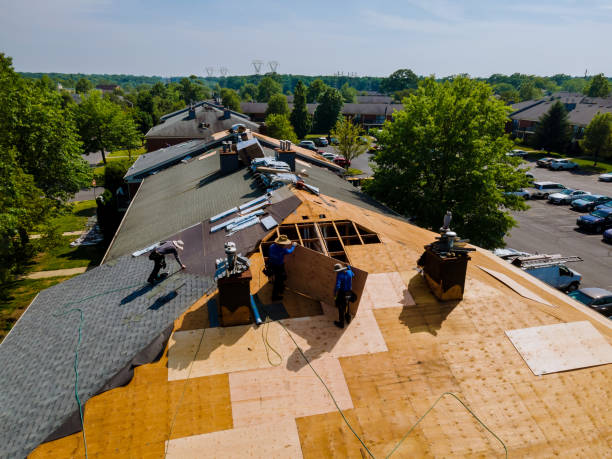 Professional Roofing Contractor in Waverly, IL