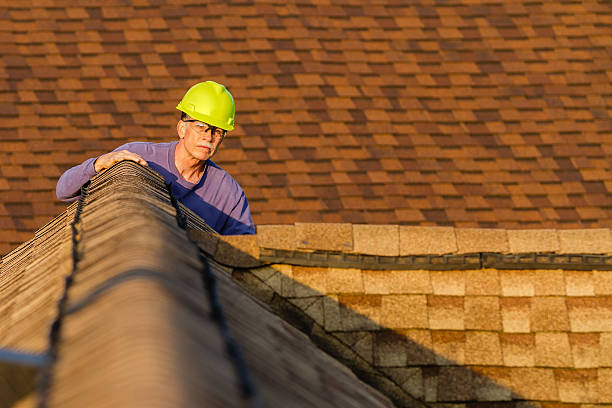 Best Roof Maintenance Services  in Waverly, IL