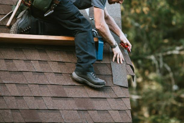 Best New Roof Installation  in Waverly, IL